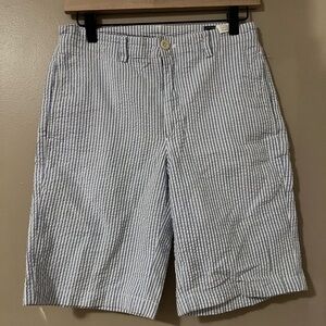 Vineyard Vines Blue and White Striped Men's Shorts